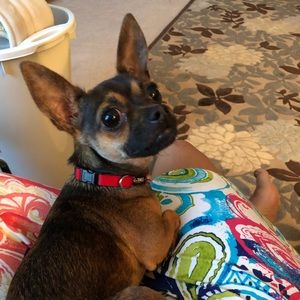 Meet your Posher, Joi